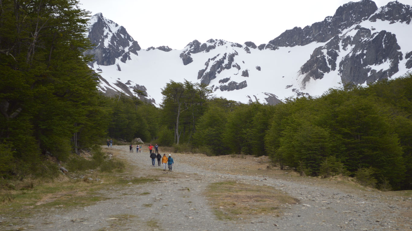 Trekking con vista a Glaciar Martial
